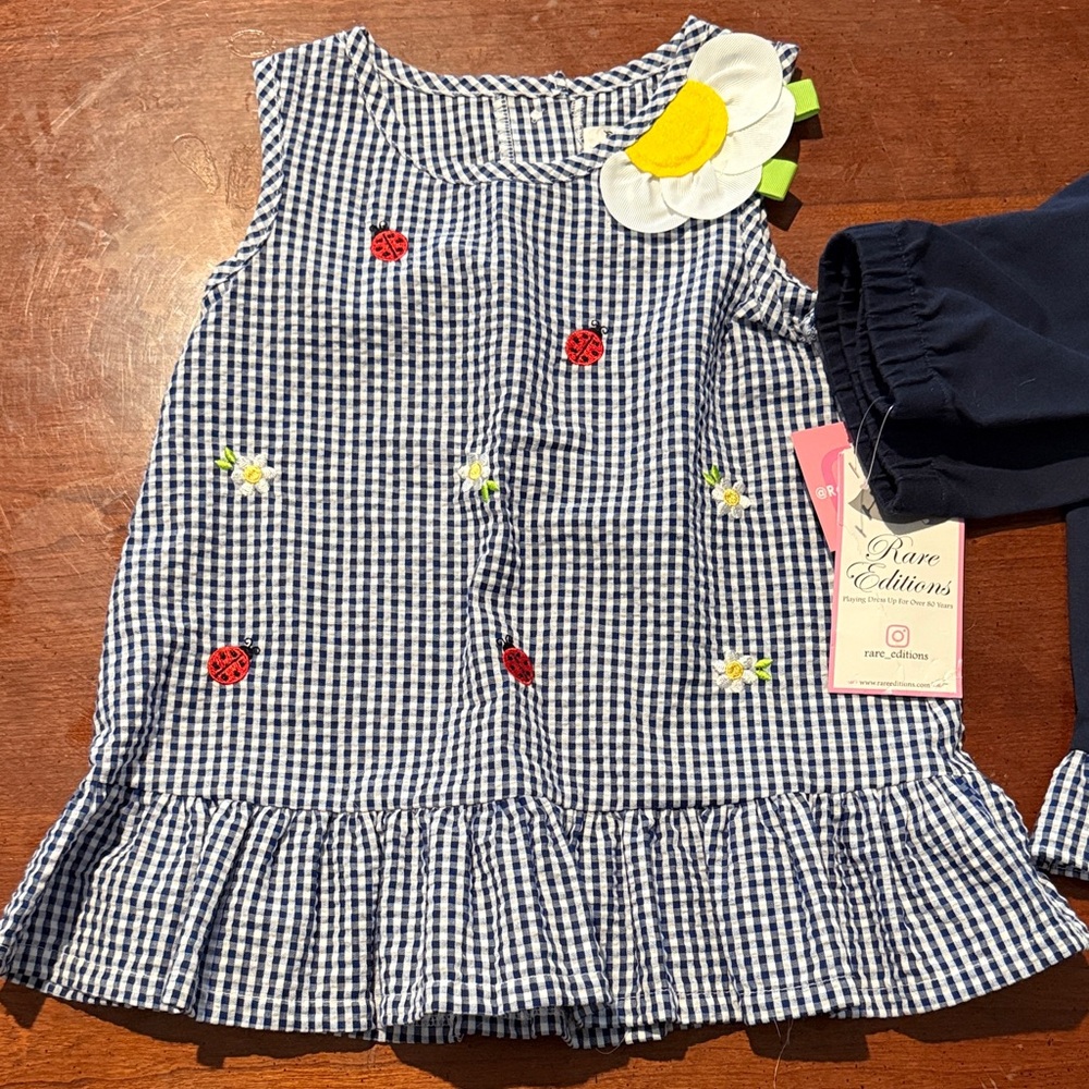Rare Editions Blue Gingham Dress with Ladybug and Flower Details 5T